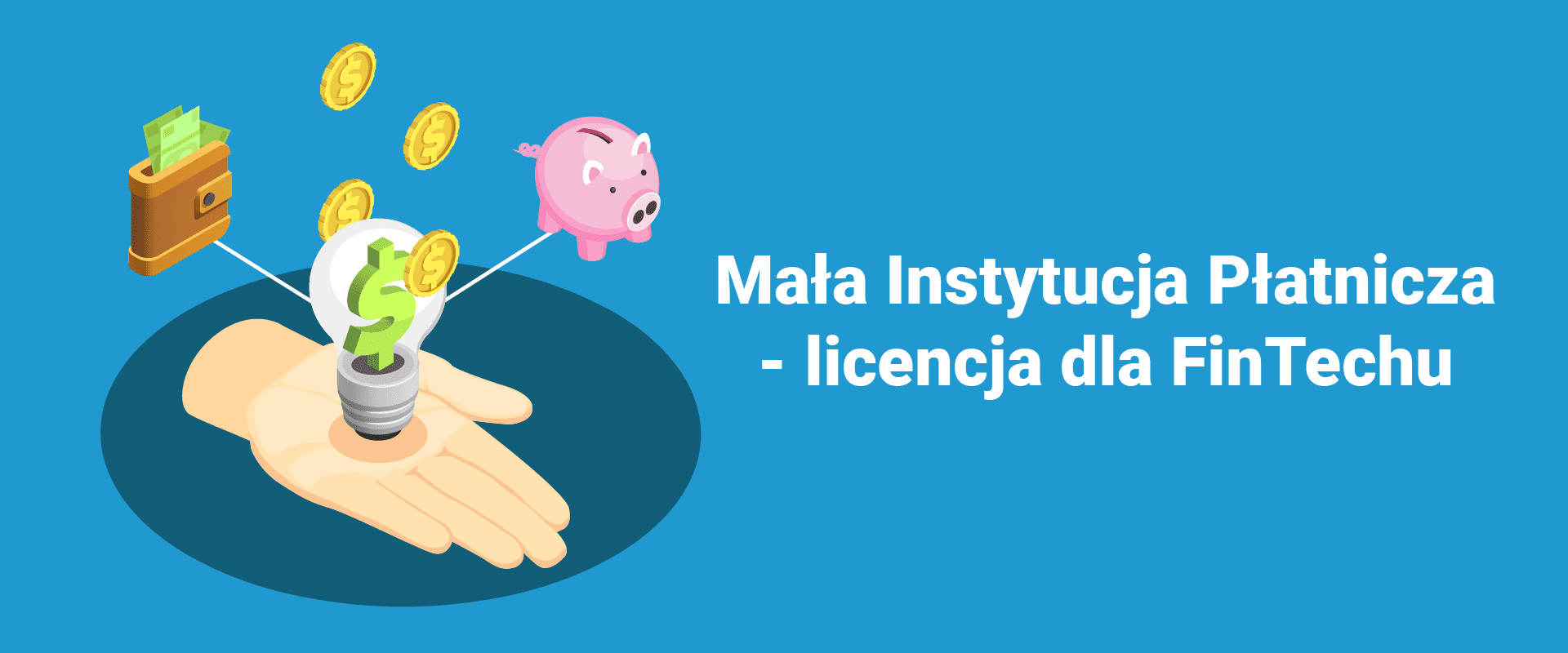Mała Instytucja Płatnicza - licencja dla FInTechu